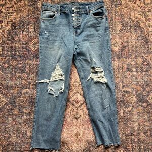 Wild Fable Distressed Button-Fly Ankle Jeans